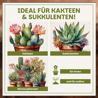 Übersicht mit Kakteen, Sukkulenten und Wüstenpflanzen als geeignete Pflanzen für die Green Home Kakteen- und Sukkulentenerde