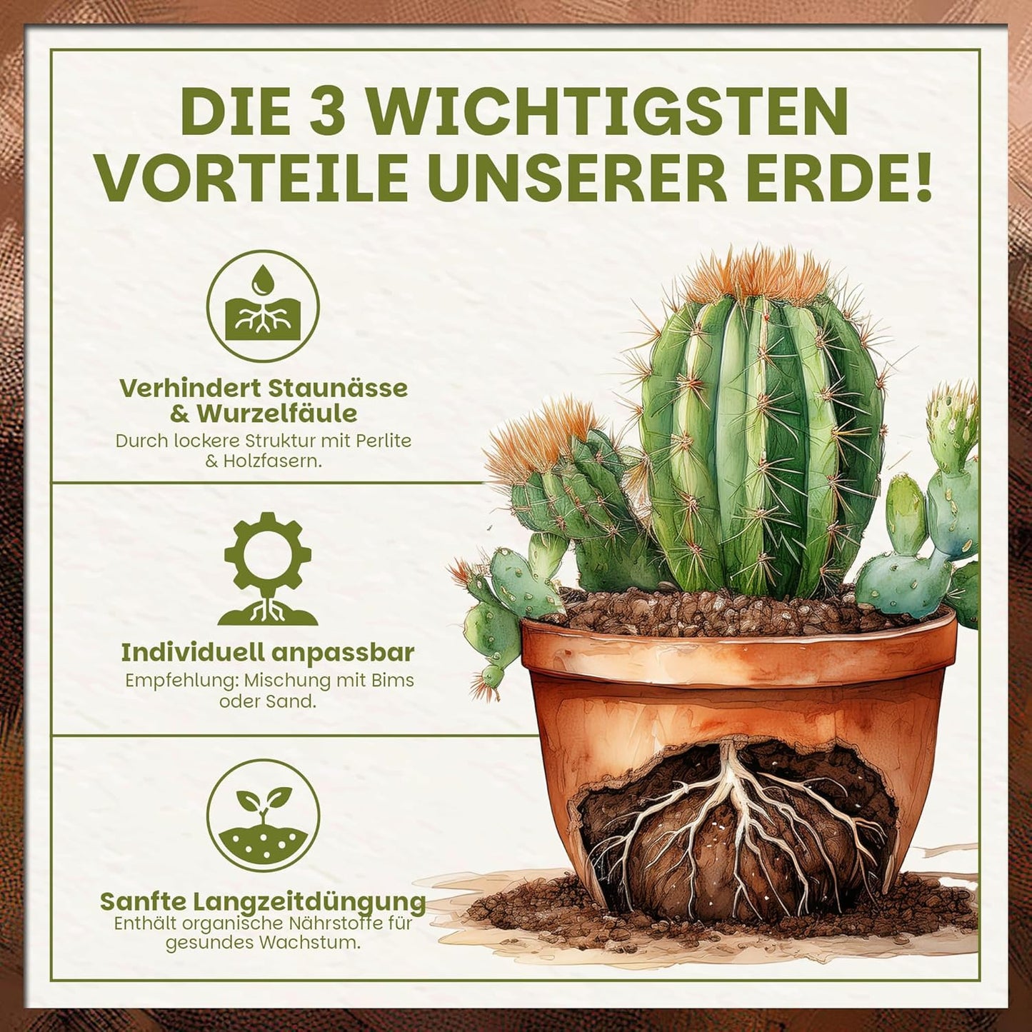 Illustration eines Kaktus im Topf mit sichtbarem Wurzelbereich zur Darstellung der Vorteile der Green Home Kakteen- und Sukkulentenerde