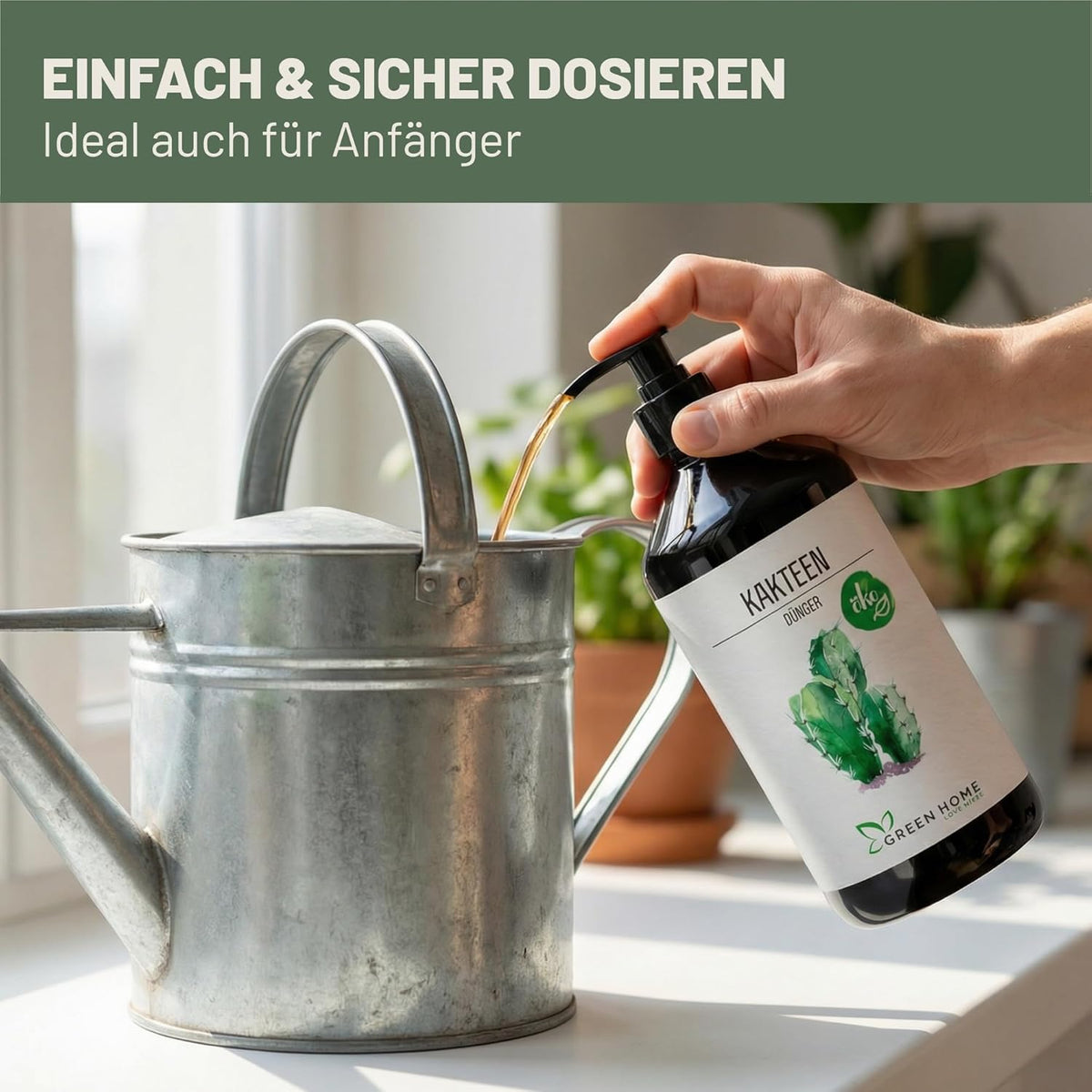 Hand dosiert Green Home Kakteendünger aus einer Flasche in eine Metallgießkanne
