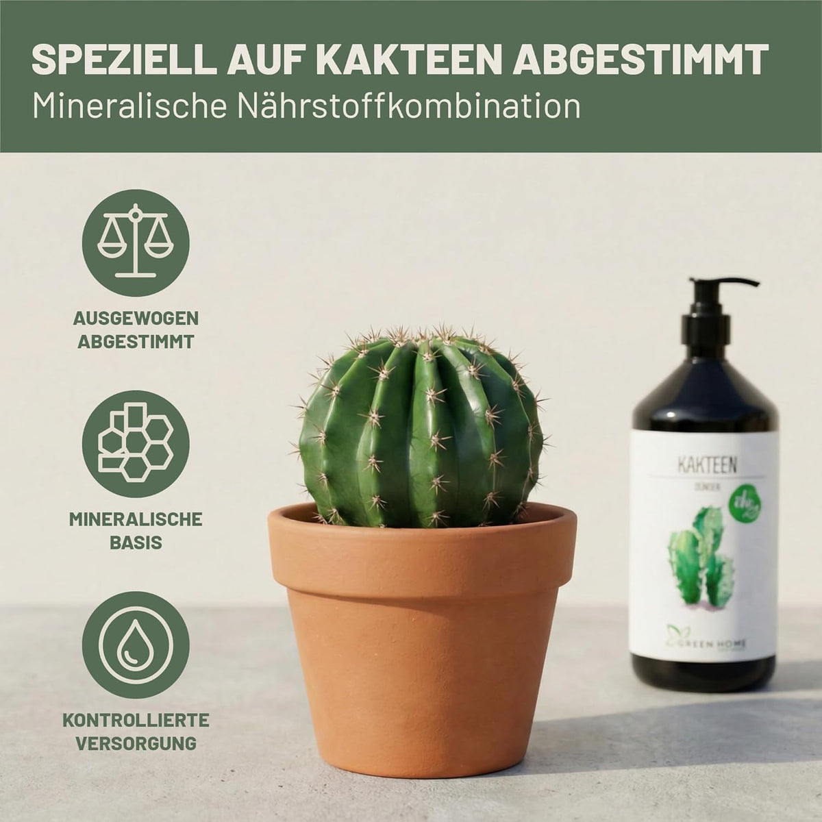 Green Home Kakteendünger neben einem runden Kaktus in einem Tontopf mit grafischen Symbolen zu Nährstoffen