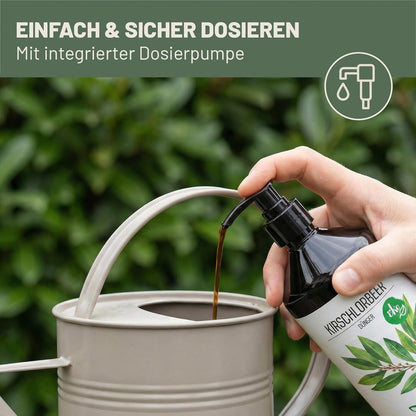 Green Home Kirschlorbeer Dünger wird mit Dosierpumpe in eine Gießkanne gefüllt