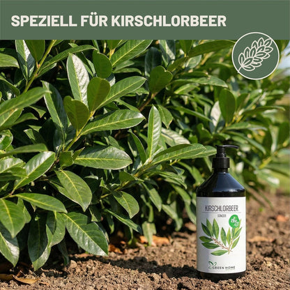 Green Home Kirschlorbeer Dünger Flasche neben einer dichten Kirschlorbeerhecke im Garten