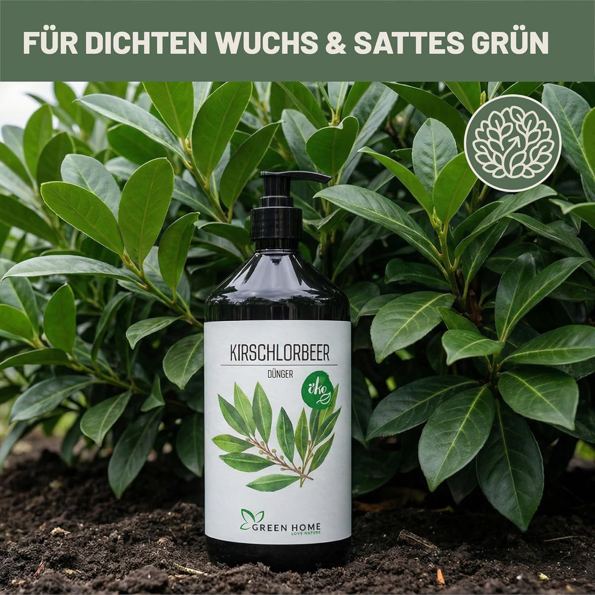 Green Home Kirschlorbeer Dünger Flasche vor dichtem grünem Kirschlorbeerlaub im Gartenboden