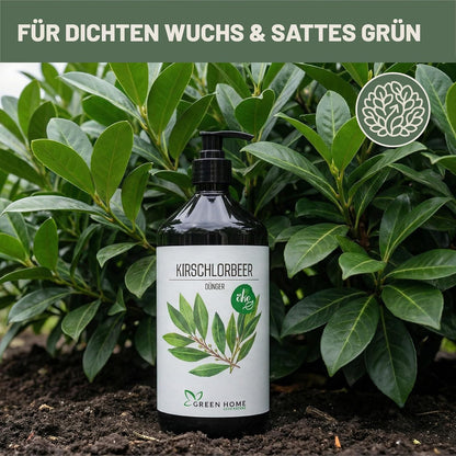 Green Home Kirschlorbeer Dünger Flasche vor dichtem grünem Kirschlorbeerlaub im Gartenboden
