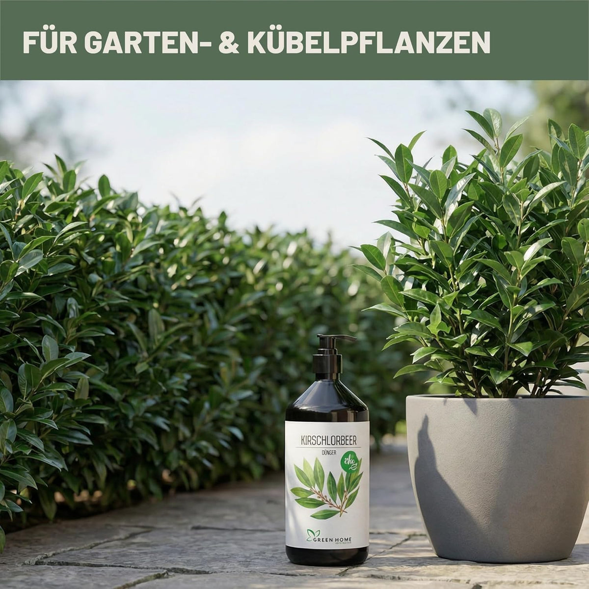 Green Home Kirschlorbeer Dünger Flasche neben Kübelpflanze und Hecke auf einer Terrasse im Garten