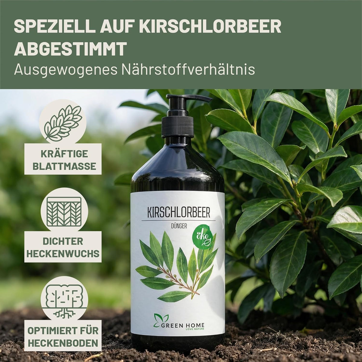 Green Home Kirschlorbeer Dünger Flasche mit Darstellung von Vorteilen wie dichter Wuchs und kräftige Blattmasse