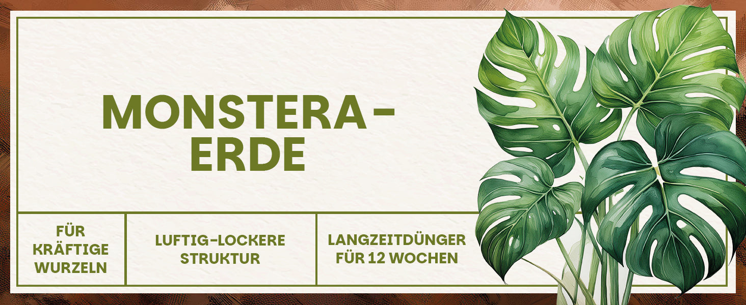 Banner zur Green Home Monstera Erde mit Monstera-Illustration und Vorteilen wie kräftige Wurzeln, luftig-lockere Struktur und 12 Wochen Langzeitdüngung.