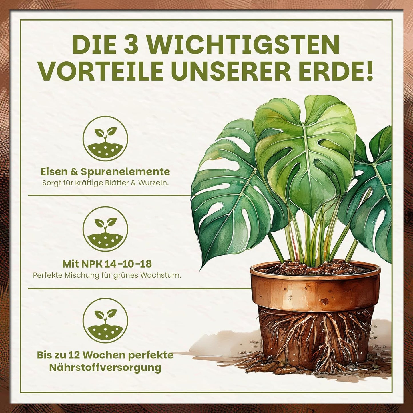 Übersicht der drei wichtigsten Vorteile inklusive Eisen & Spurenelemente, NPK 14-10-18 und bis zu 12 Wochen Nährstoffversorgung.