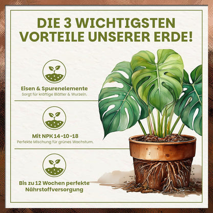 Übersicht der drei wichtigsten Vorteile inklusive Eisen & Spurenelemente, NPK 14-10-18 und bis zu 12 Wochen Nährstoffversorgung.