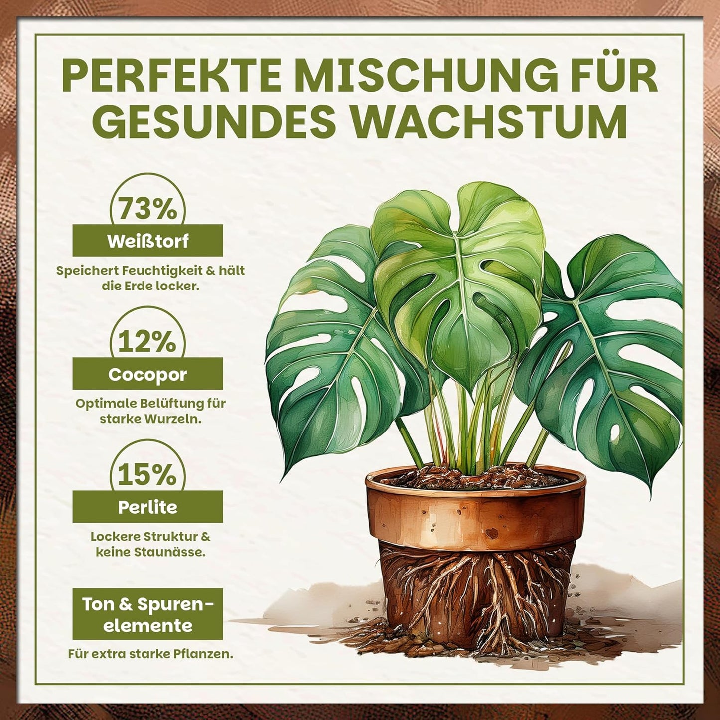 Darstellung der prozentualen Zusammensetzung (73 % Weißtorf, 12 % Cocopor, 15 % Perlite) sowie Ton- & Spurenelemente.