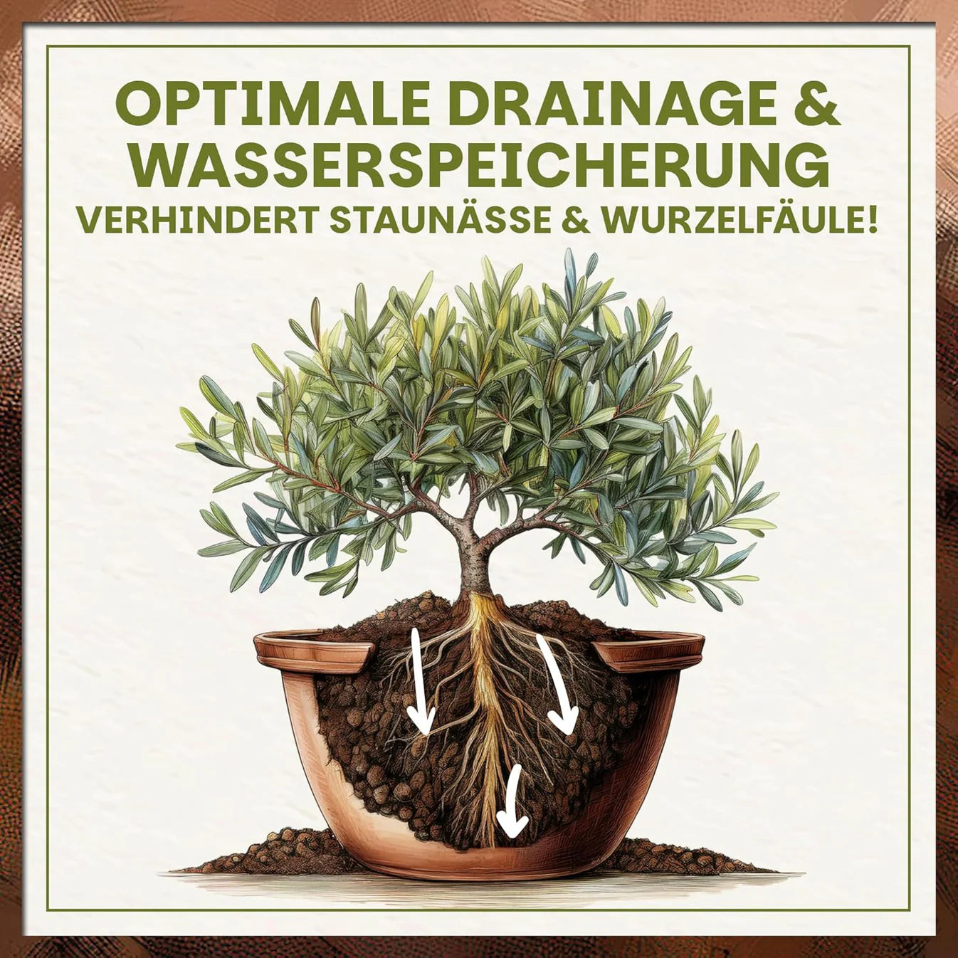 Optimale Drainage und Wasserspeicherung der Olivenerde zur Vermeidung von Staunässe und Wurzelfäule
