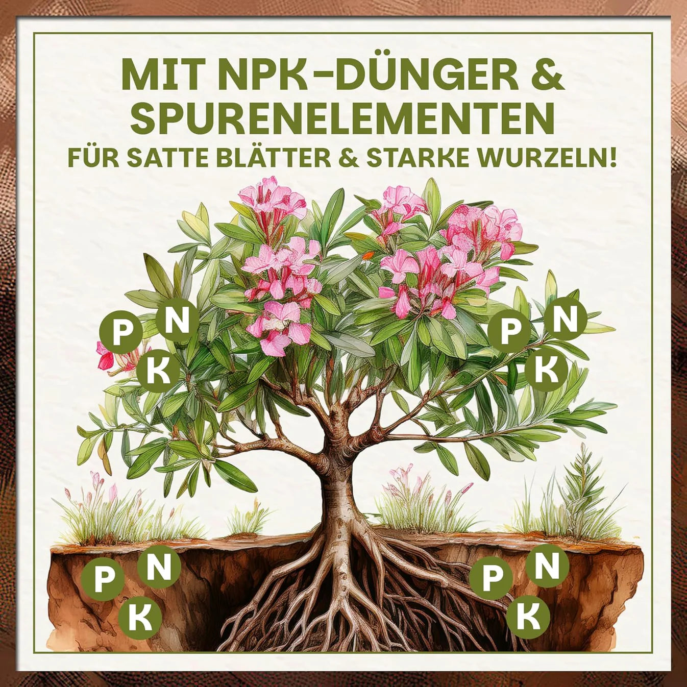 NPK-Düngung mit Spurenelementen für kräftige Wurzeln, satte Blätter und gesunde Pflanzen