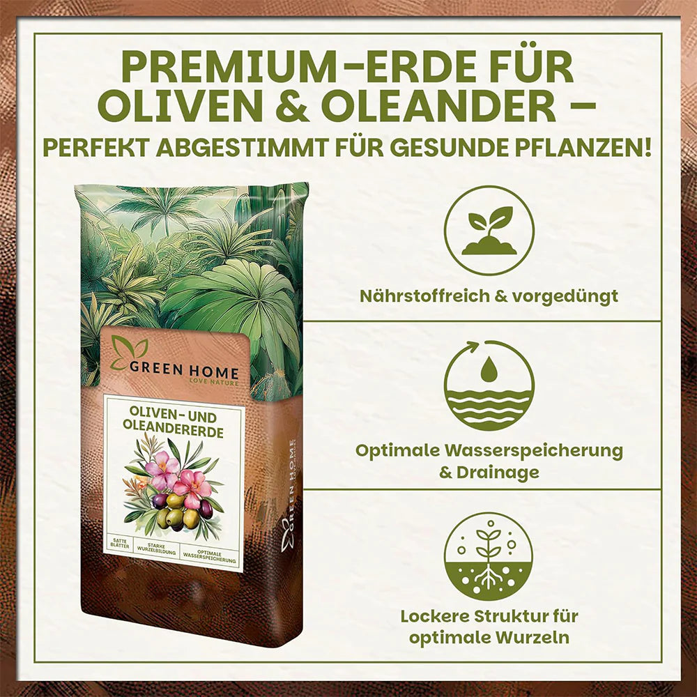 Premium-Erde für Oliven und Oleander – nährstoffreich, vorgedüngt und optimal abgestimmt