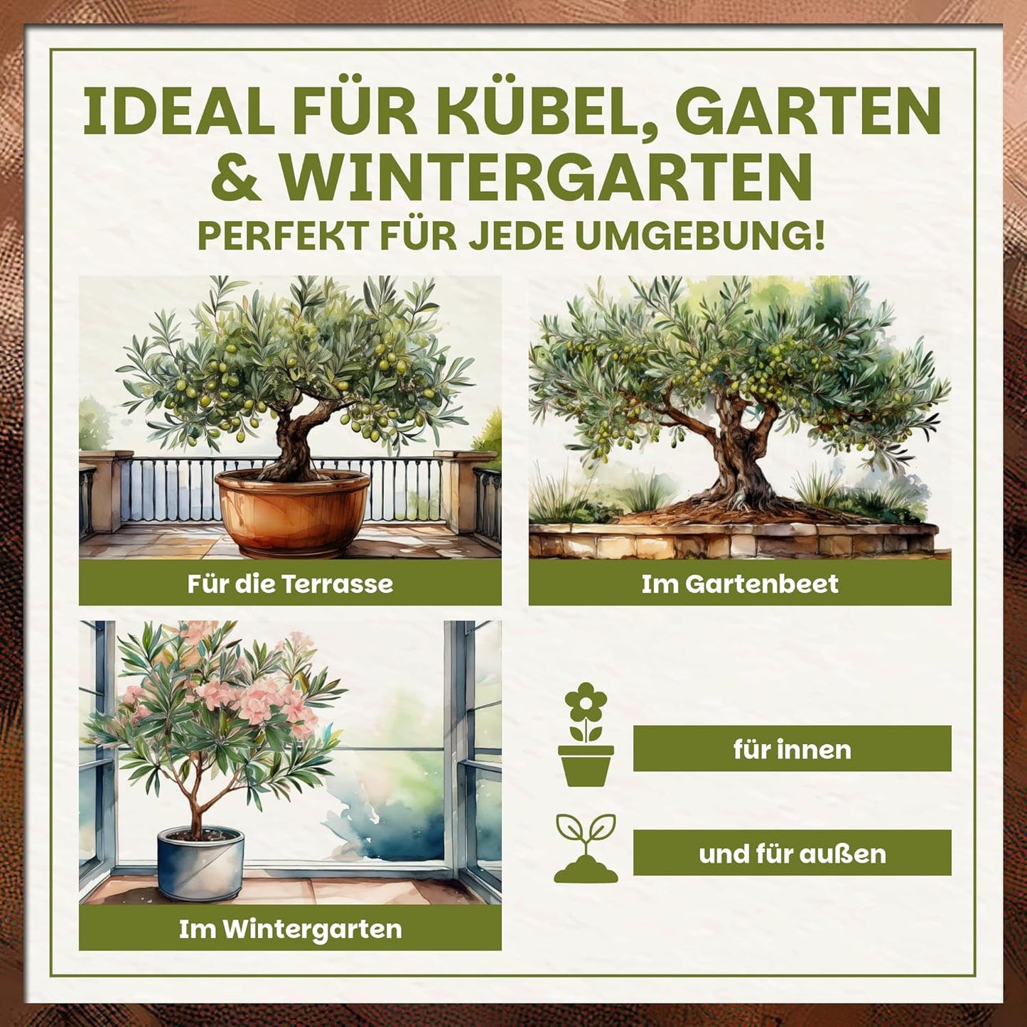 Einsatzmöglichkeiten der Green Home Oliven- und Oleandererde auf Terrasse, im Gartenbeet und im Wintergarten