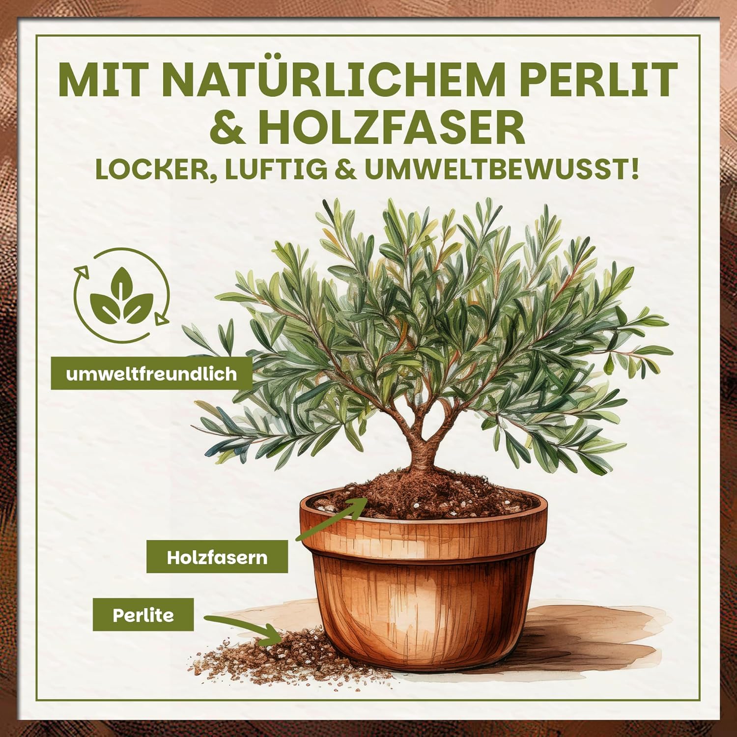 Darstellung der lockeren Struktur der Oliven- und Oleandererde mit Perlite und Holzfasern für bessere Belüftung