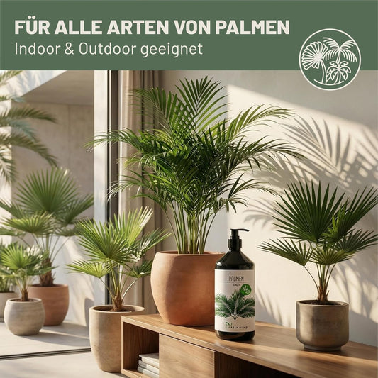 Green Home Palmendünger 1L steht auf einem Tisch neben mehreren Zimmerpalmen im hellen Wohnraum