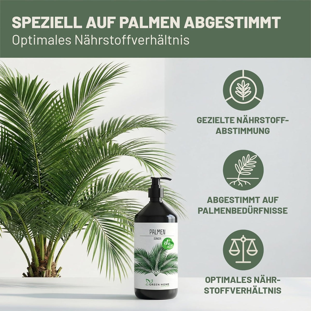 Green Home Palmendünger 1L Flasche neben einer Palme mit grafischen Hinweisen zu Nährstoffvorteilen