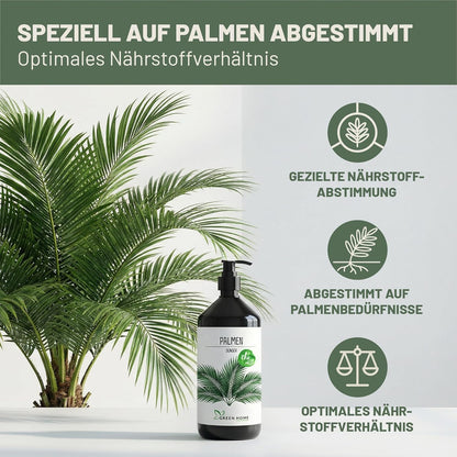 Green Home Palmendünger 1L Flasche neben einer Palme mit grafischen Hinweisen zu Nährstoffvorteilen
