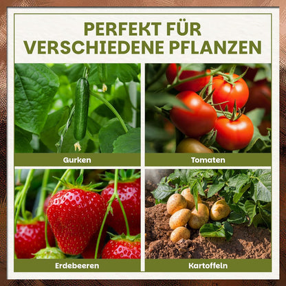 Übersicht der Einsatzmöglichkeiten des Green Home Pflanzsacks 18 Liter für Gurken, Tomaten, Erdbeeren und Kartoffeln