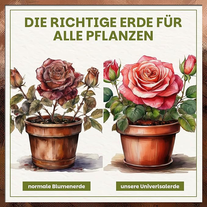 Vergleich zwischen normaler Blumenerde und Green Home Universalerde mit sichtbar gesünderem Pflanzenwachstum.