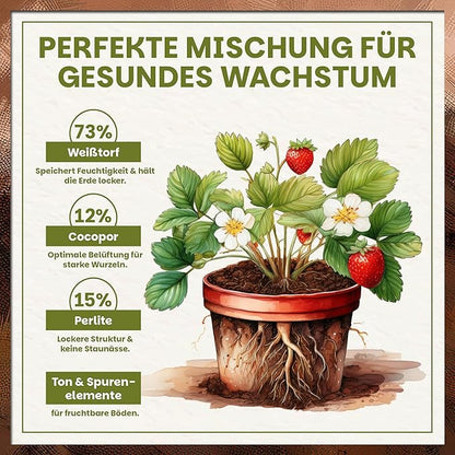 Illustration der Nährstoffmischung: Beeren- und Obsterde mit Weißtorf, Cocopor, Perlite sowie Ton- und Spurenelementen.