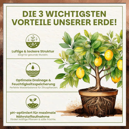 Vorteile der Green Home Zitruserde: luftige Struktur, optimale Drainage und pH-optimierte Nährstoffaufnahme