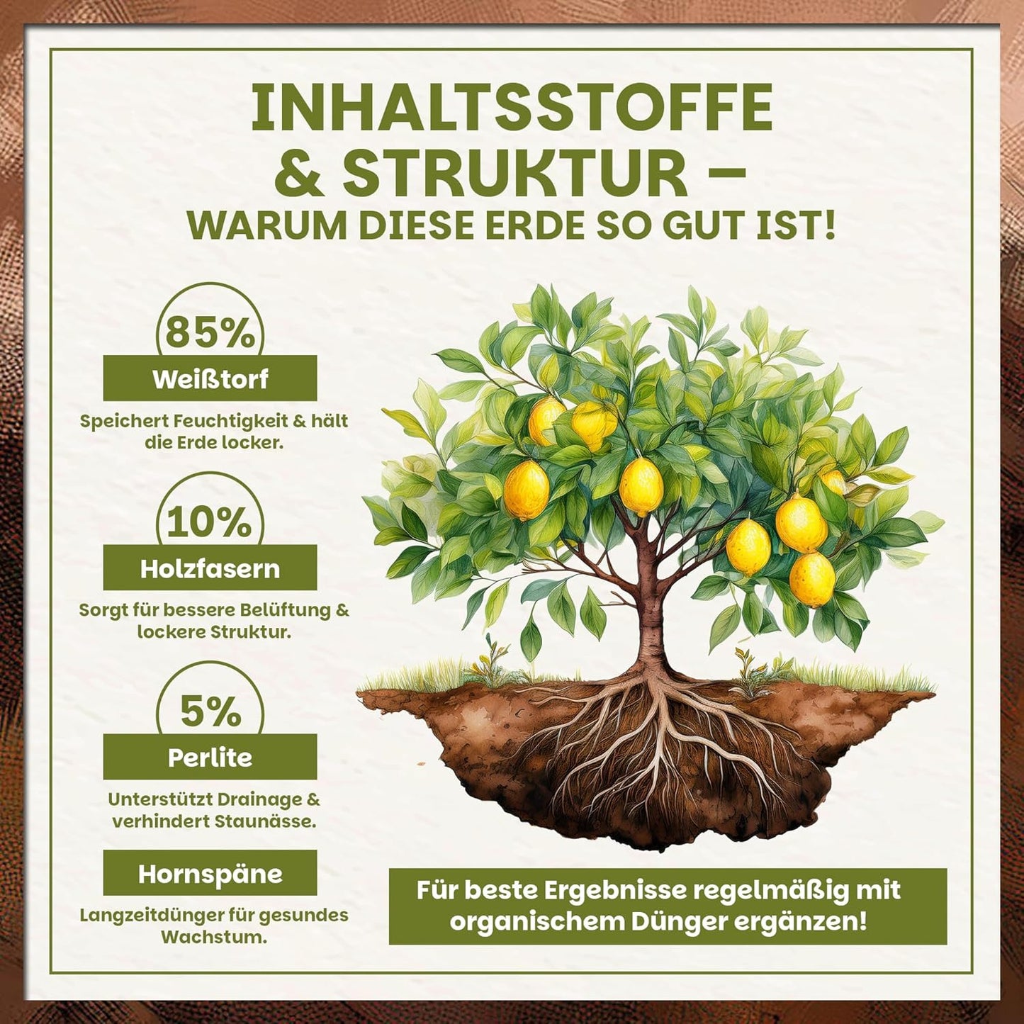 Darstellung der Zusammensetzung der Green Home Zitruserde mit Prozentangaben zu Weißtorf, Holzfasern, Perlite und Hornspänen sowie Illustration eines Zitronenbaums mit Wurzeln.