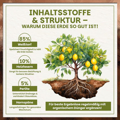 Darstellung der Zusammensetzung der Green Home Zitruserde mit Prozentangaben zu Weißtorf, Holzfasern, Perlite und Hornspänen sowie Illustration eines Zitronenbaums mit Wurzeln.