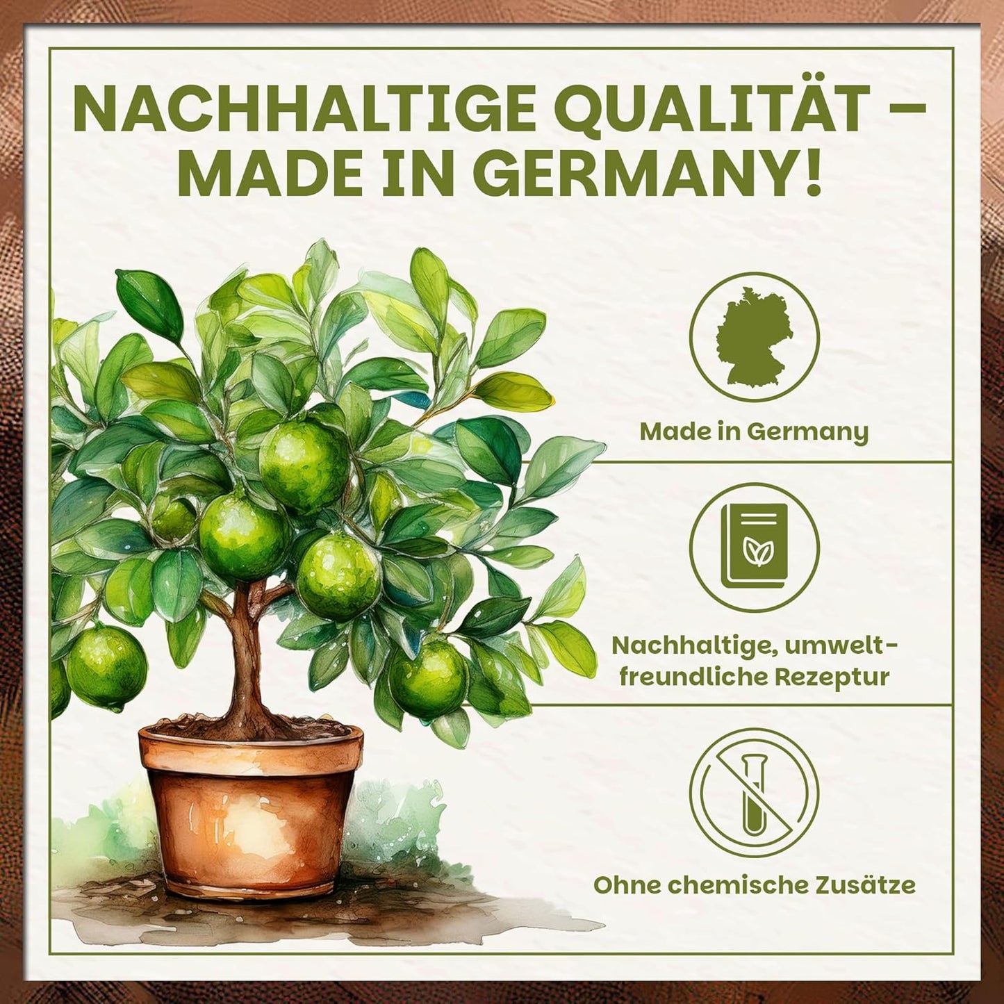 Infografik zur Green Home Zitruserde mit Limettenbaum im Topf und Hinweisen auf nachhaltige Rezeptur, Herstellung in Deutschland und Verzicht auf chemische Zusätze.