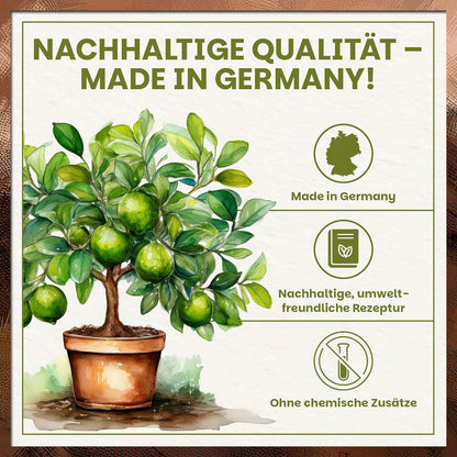 Infografik zur Green Home Zitruserde mit Limettenbaum im Topf und Hinweisen auf nachhaltige Rezeptur, Herstellung in Deutschland und Verzicht auf chemische Zusätze.