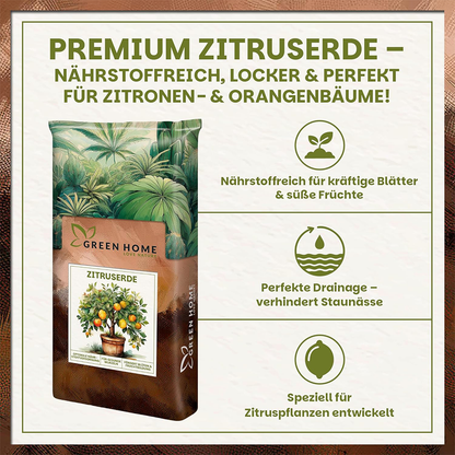 Infografik zur Green Home Zitruserde mit Produktabbildung und hervorgehobenen Vorteilen wie Nährstoffreichtum, Drainage und spezieller Eignung für Zitruspflanzen.