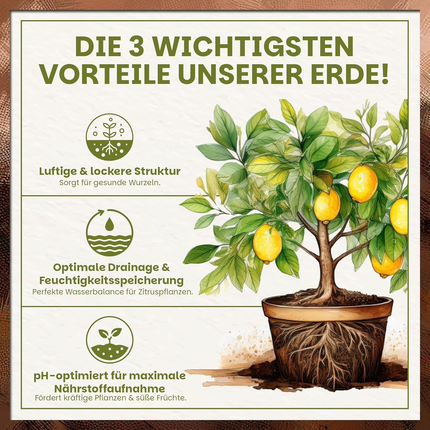 Darstellung der drei wichtigsten Vorteile der Green Home Zitruserde mit Illustration eines Zitronenbaums und Hinweisen zu lockerer Struktur, optimaler Drainage und pH-Optimierung.