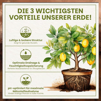 Darstellung der drei wichtigsten Vorteile der Green Home Zitruserde mit Illustration eines Zitronenbaums und Hinweisen zu lockerer Struktur, optimaler Drainage und pH-Optimierung.