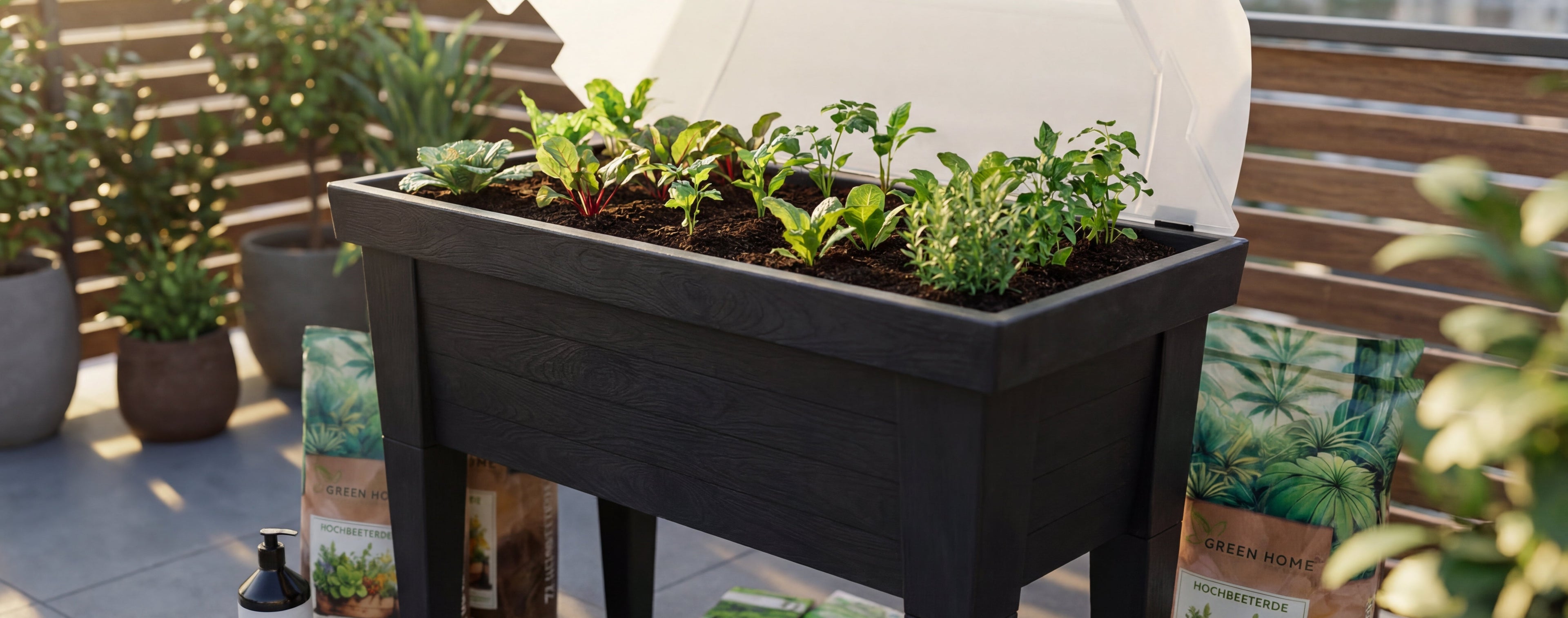 Schwarzes Hochbeet mit transparenter Abdeckung auf einem Balkon, bepflanzt mit verschiedenen Jungpflanzen.