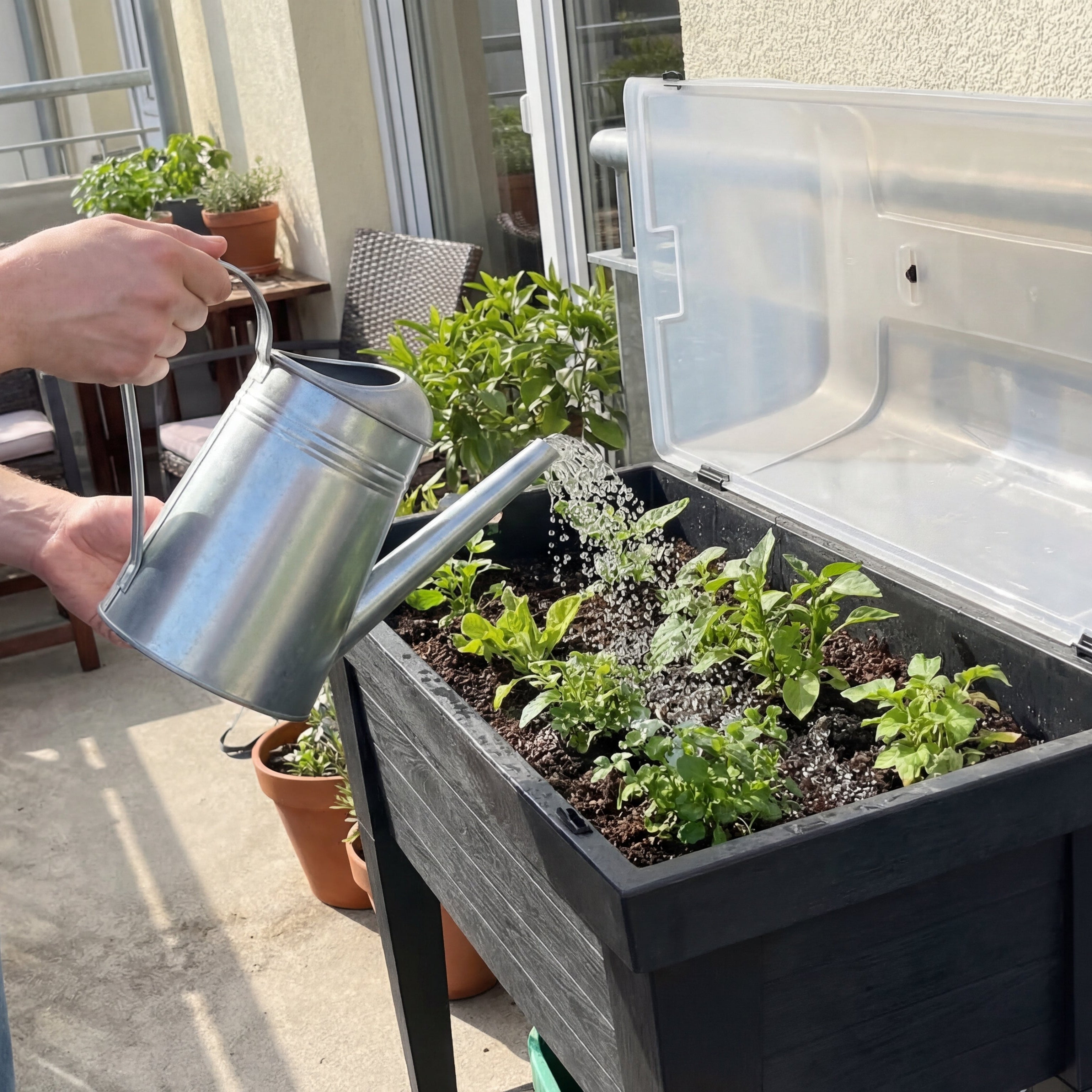 Person gießt Pflanzen in einem schwarzen Hochbeet mit aufgeklappter transparenter Abdeckung auf dem Balkon.