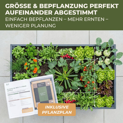 Draufsicht auf das Hochbeet XL mit verschiedenen Gemuesepflanzen und dargestelltem Pflanzplan