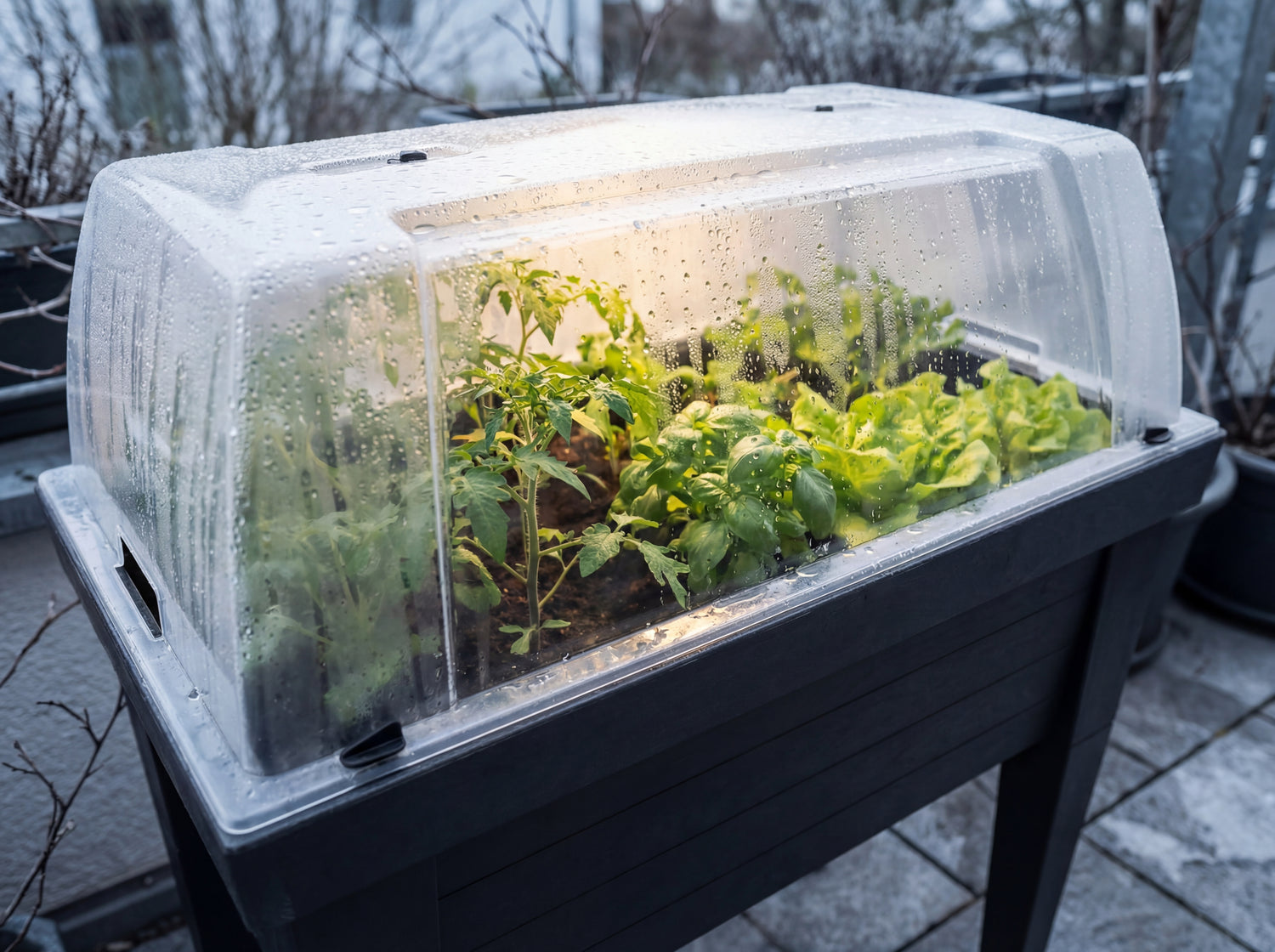 Hochbeet XL mit aufgesetzter transparenter Haube schuetzt junge Pflanzen vor Kaelte und Naesse