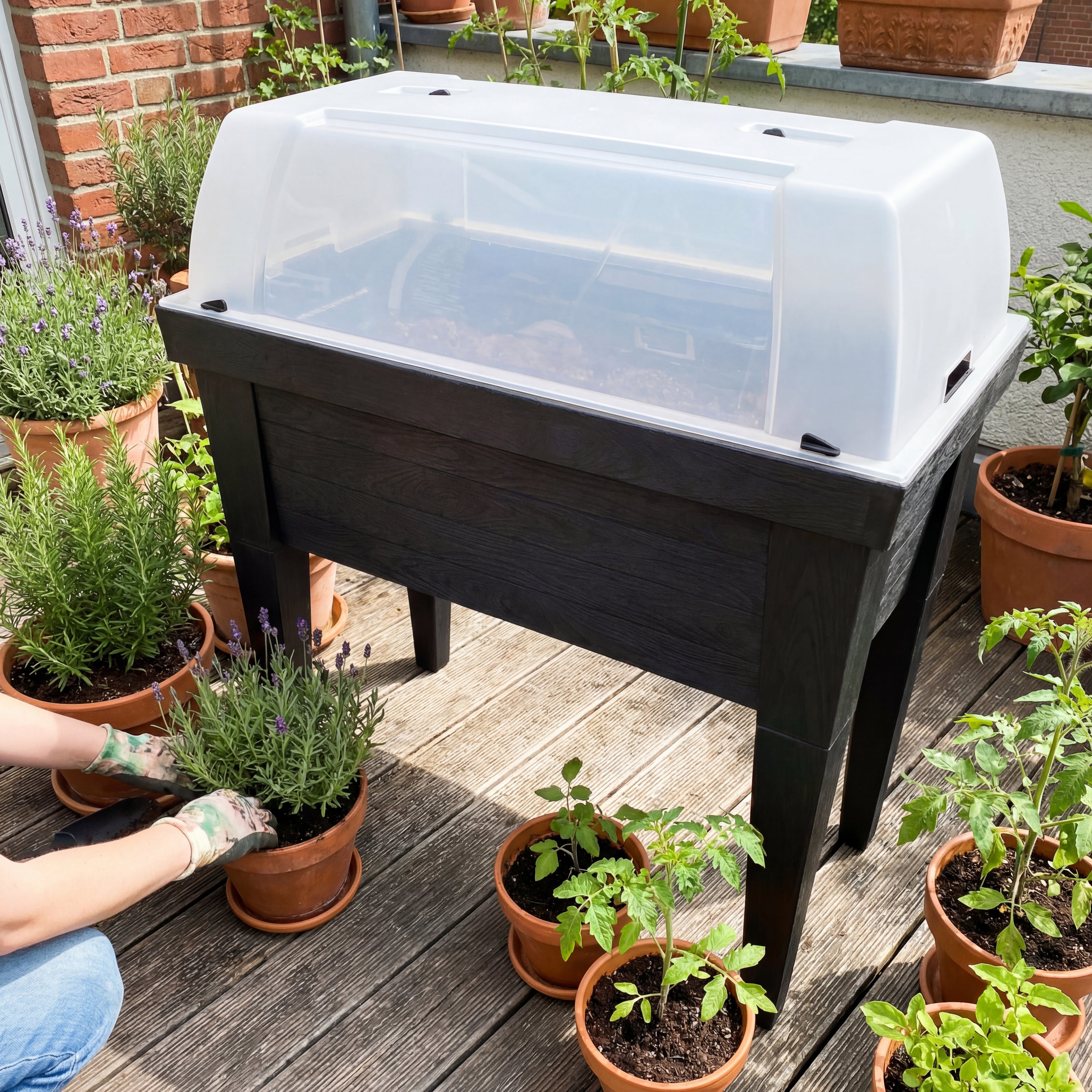 Hochbeet XL mit geschlossener Fruehbeethaube steht auf einer Terrasse umgeben von Topfpflanzen