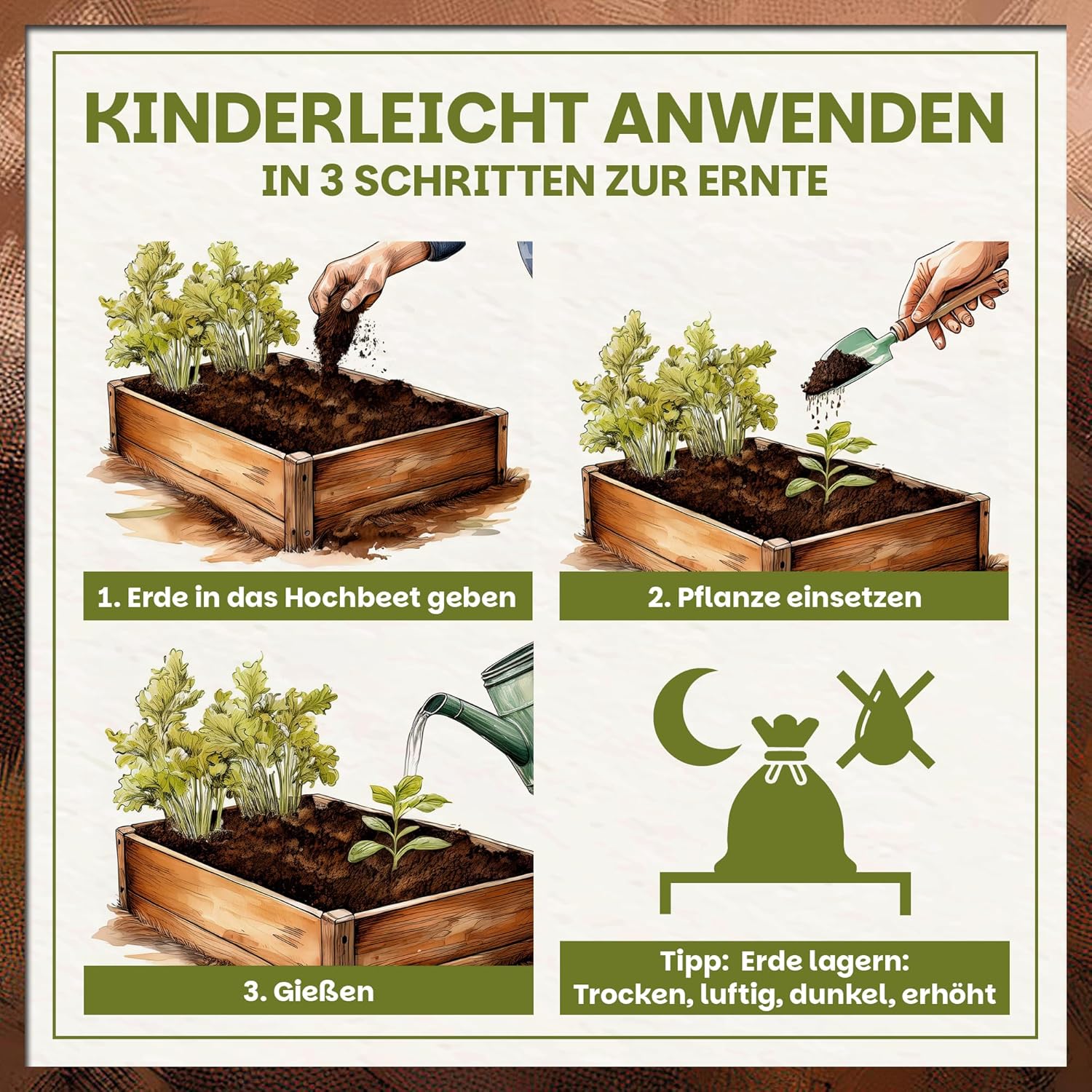 Einfache Anwendung der Green Home Hochbeeterde im Hochbeet – Erde einfüllen, Pflanze einsetzen und gießen für optimale Ernte.