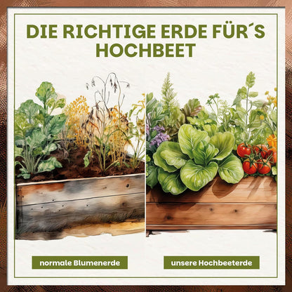Vergleich zwischen normaler Blumenerde und Green Home Hochbeeterde mit sichtbar kräftigerem Pflanzenwachstum im Hochbeet.