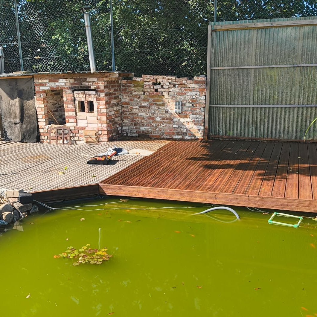 Holzterrasse am Teich mit unbehandelter und behandelter Fläche im Vergleich nach dem Auftragen einer Lasur.