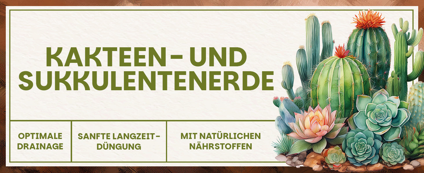 Headergrafik mit Titel Kakteen- und Sukkulentenerde sowie Illustrationen von Kakteen und Sukkulenten und Hinweisen zu Drainage, Langzeitdüngung und Nährstoffen