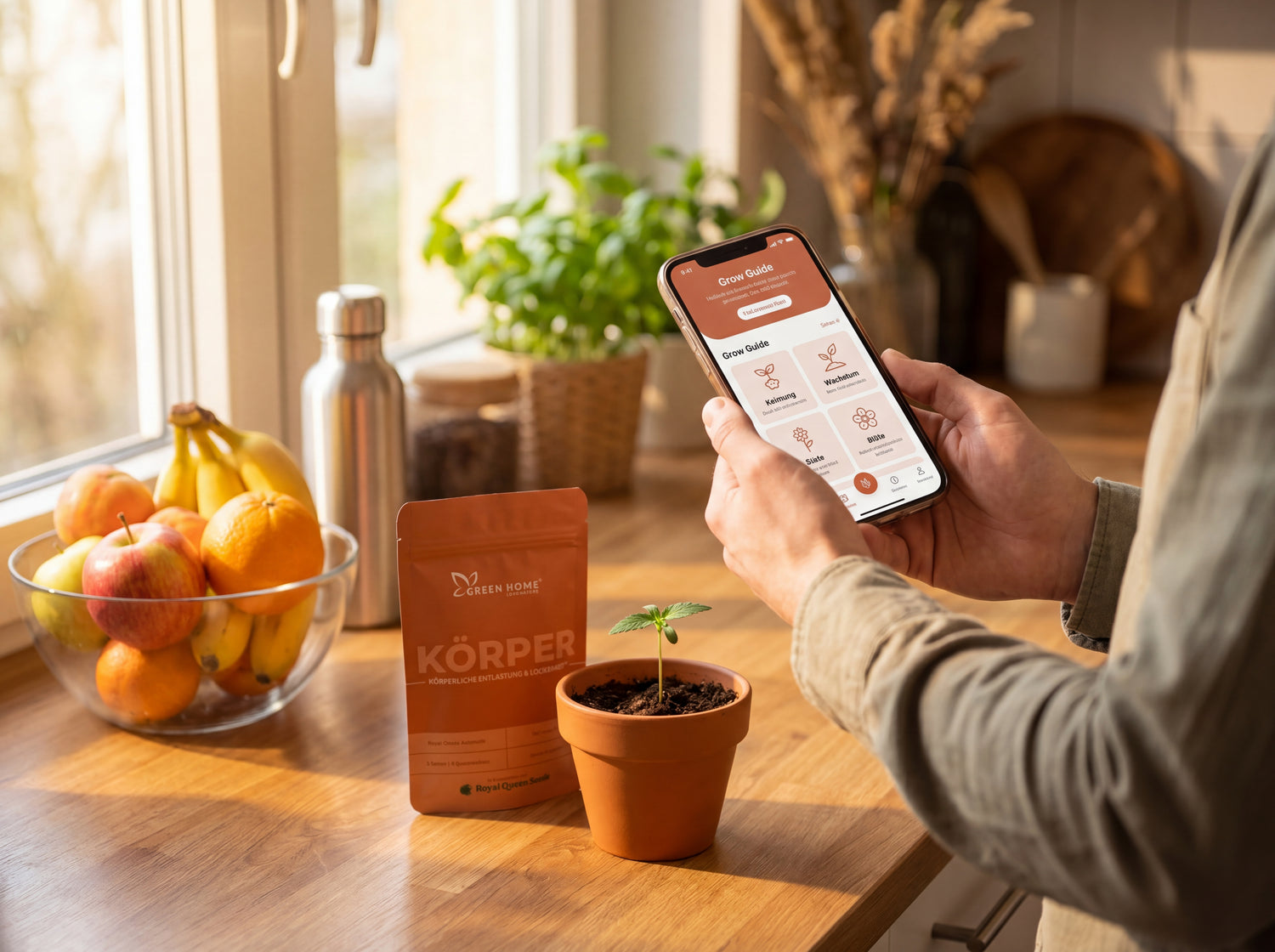 Digitaler Wochenplan auf Smartphone neben KÖRPER Verpackung und Keimling in Küche