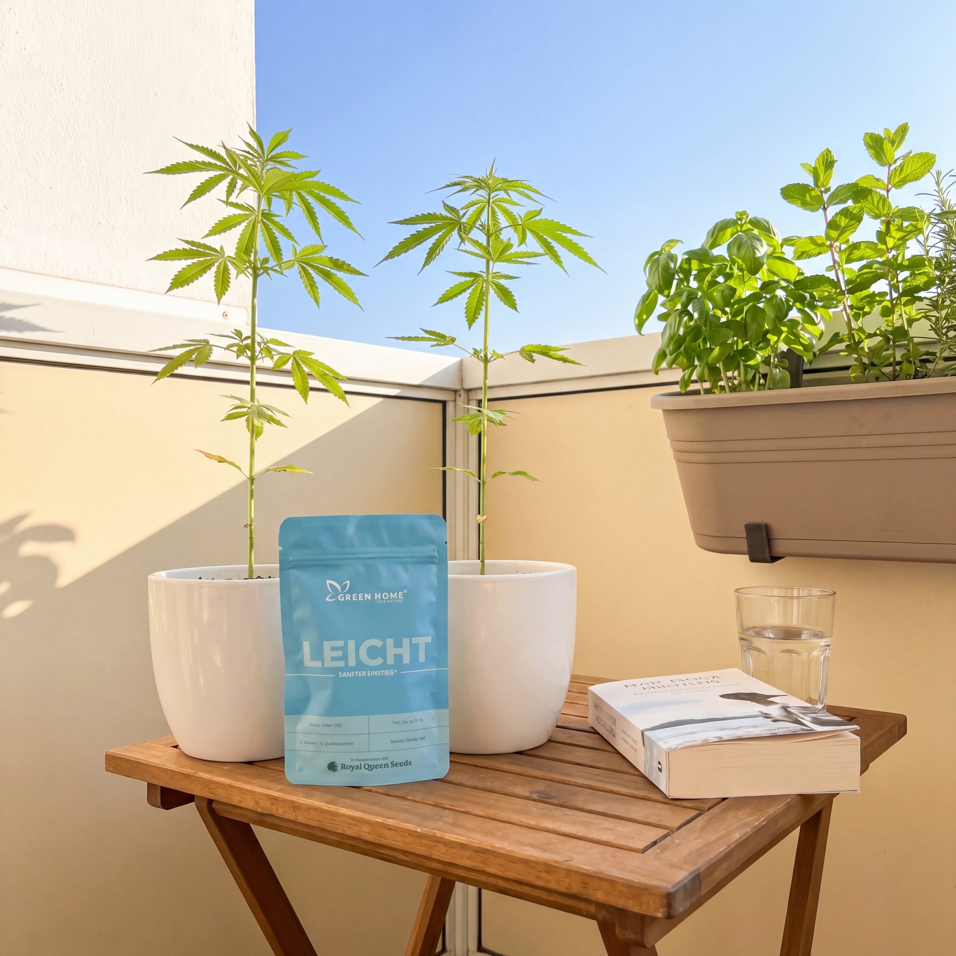 CBD Cannabis-Pflanzen in weißen Töpfen auf hellem Balkon neben LEICHT Verpackung