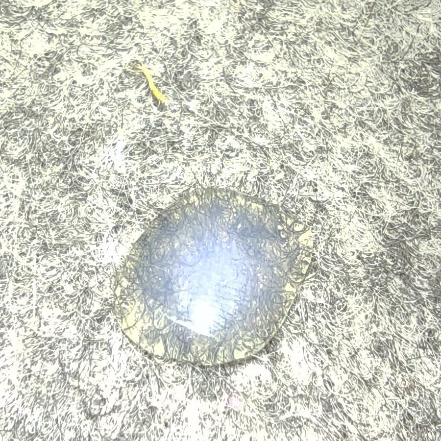 Detailaufnahme einer transparent getrockneten Schicht von My Color Room Teppich Stopp auf strukturierter Teppichrückseite.