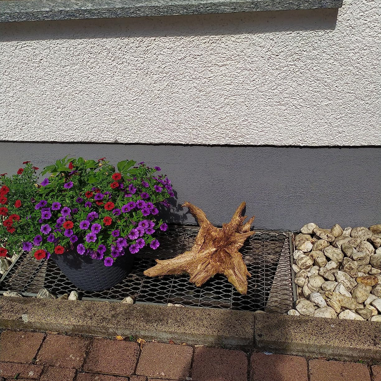 Mit My Paint Sockel- und Dachfarbe gestrichener Haussockel neben Blumenbeet und Kiesstreifen