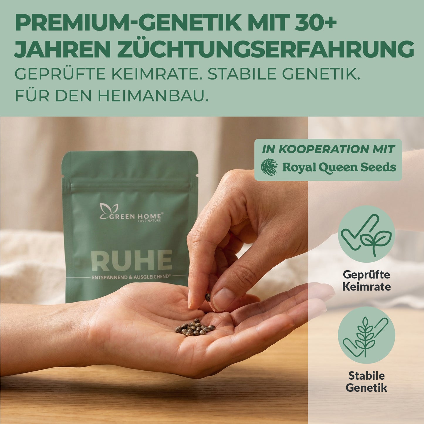 3 Northern Lights Auto Cannabis Samen von Royal Queen Seeds in Handfläche