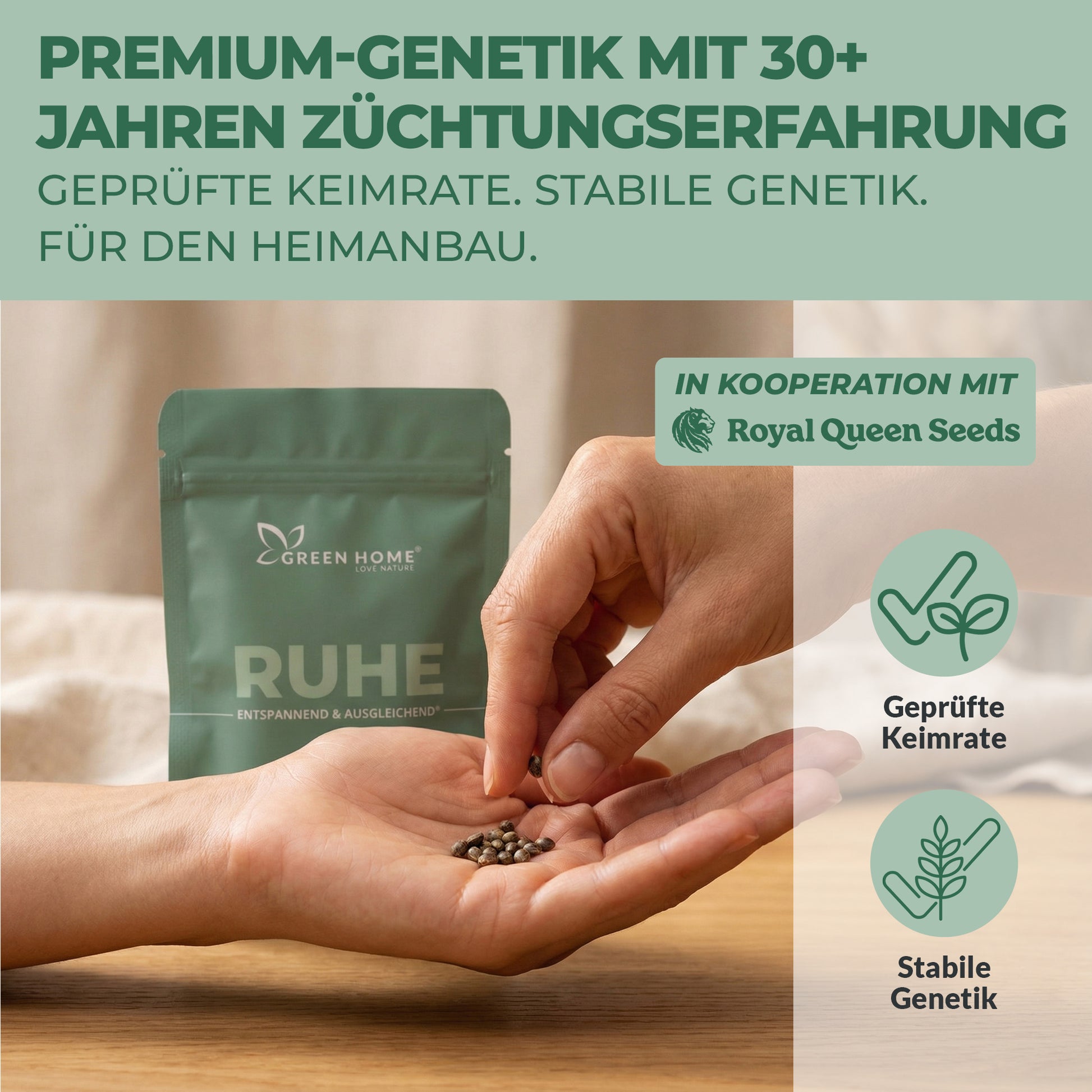 3 Northern Lights Auto Cannabis Samen von Royal Queen Seeds in Handfläche