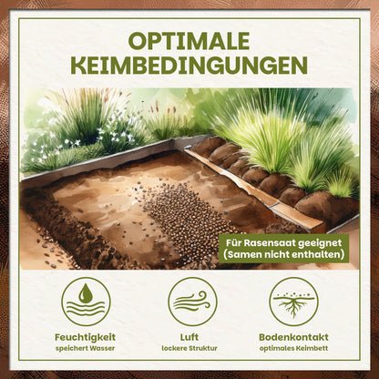 Illustration eines vorbereiteten Saatbetts mit Rasenerde für optimale Keimbedingungen von Rasensaat