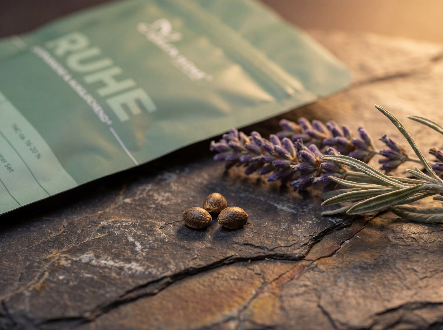 Drei Northern Lights Auto Cannabis Samen auf Schiefer – legendäre Indica-Genetik